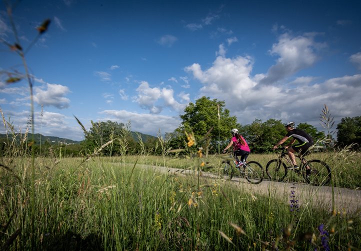 Salite e discese tra strade e sentieri