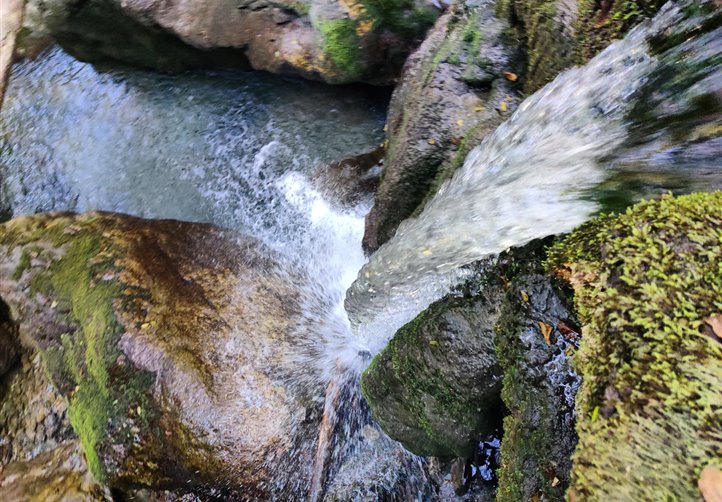 A piedi alla scoperta del territorio