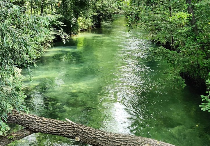 Immersi nelle acque limpide